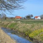 Frühling in Vitte 