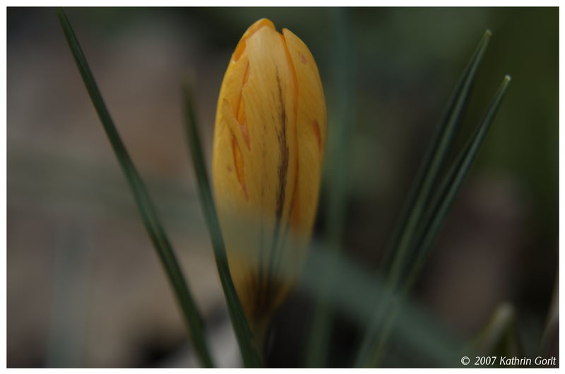 Frühling in vollen Zügen