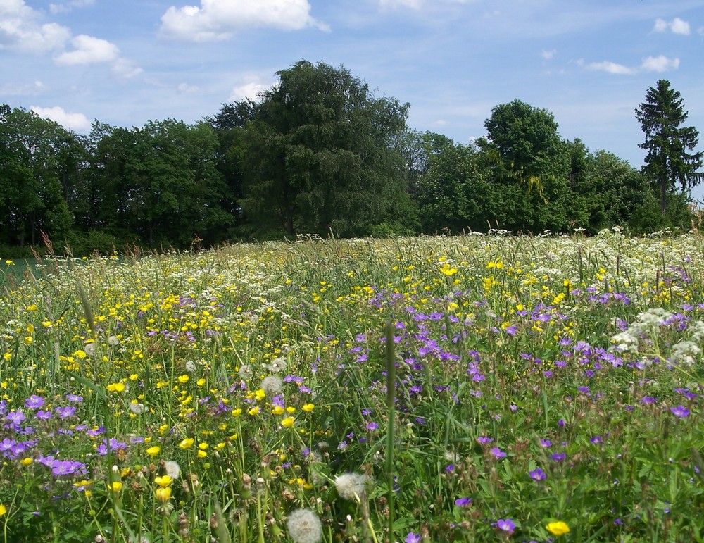 Frühling in Vorarlberg