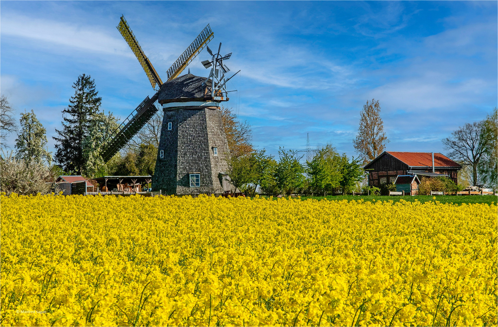 Frühling in Vorpommern - Die Erdholländerwindmühle in Steinhagen... 