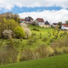 Frühling in Waldenstein