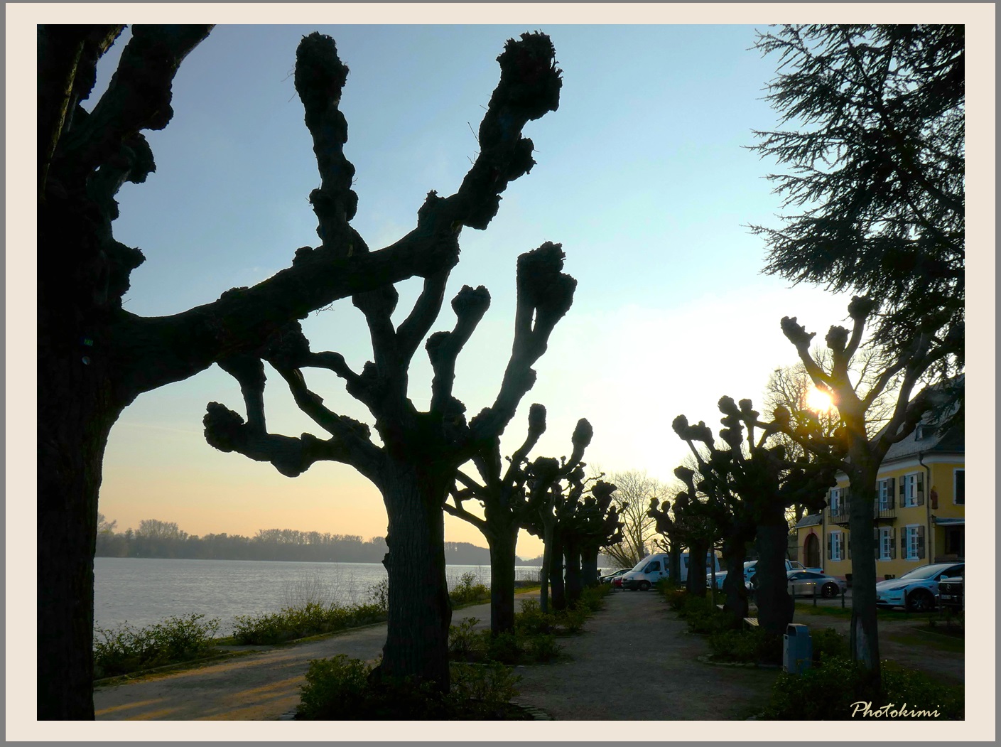 Frühling in Walluf/Rhein 