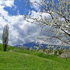 Frühling in Weggis