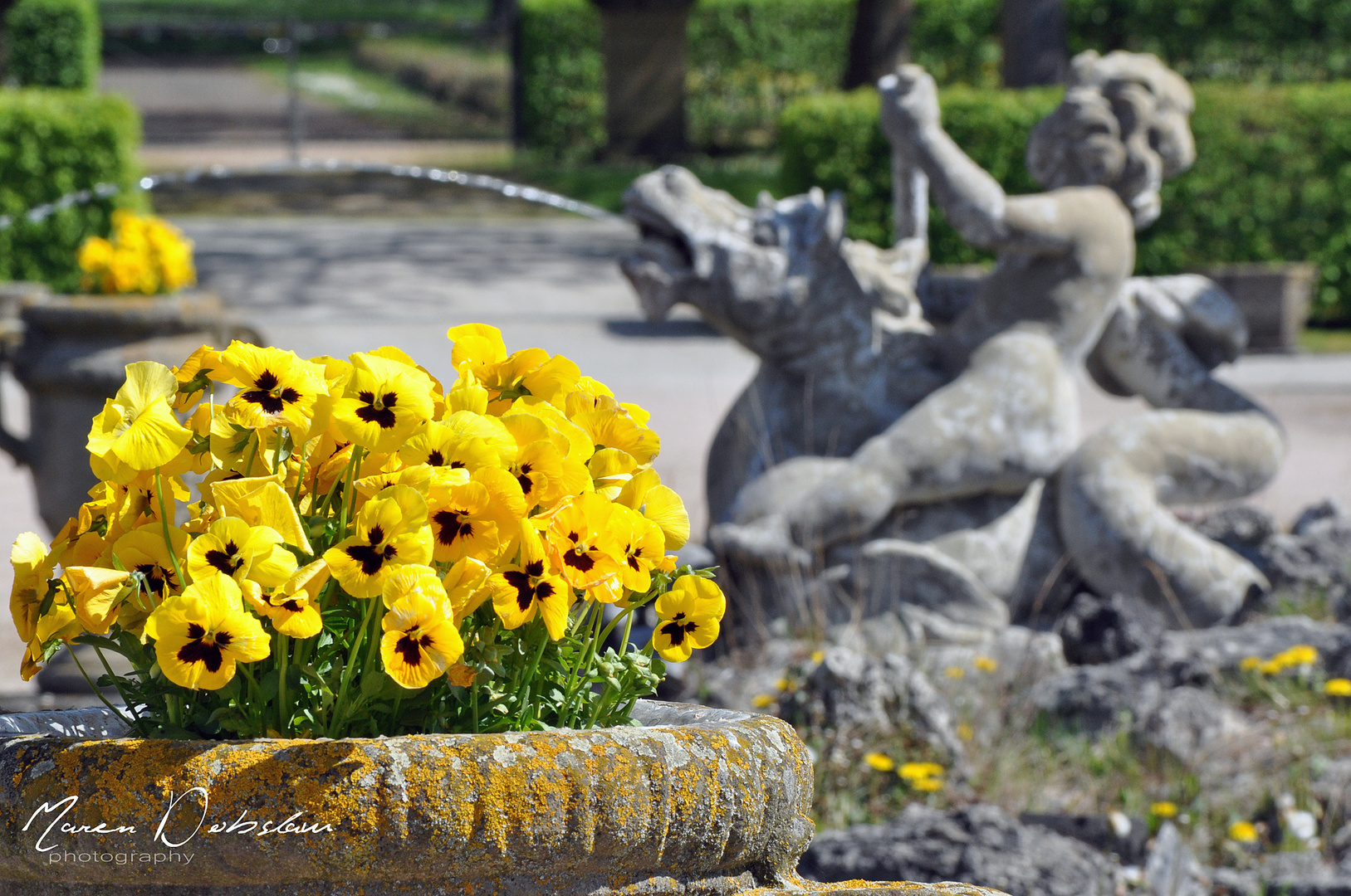 Frühling in Weikersheim