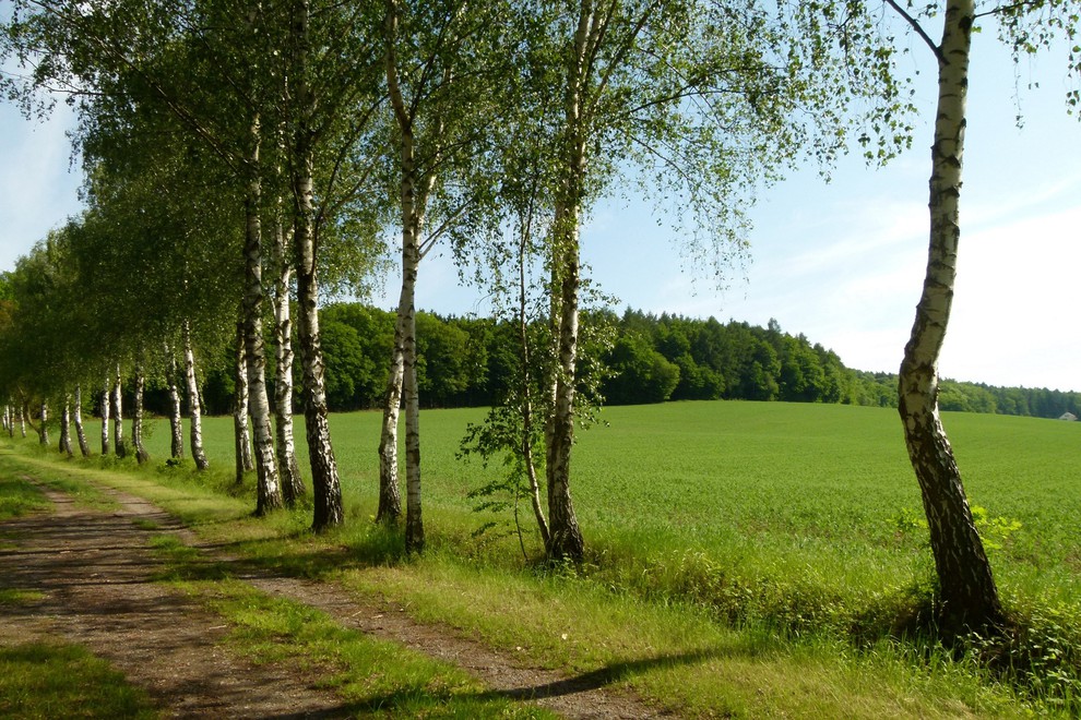 Frühling in Weiler bei Sinsheim