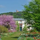 Frühling in Weinheim/Bergstraße