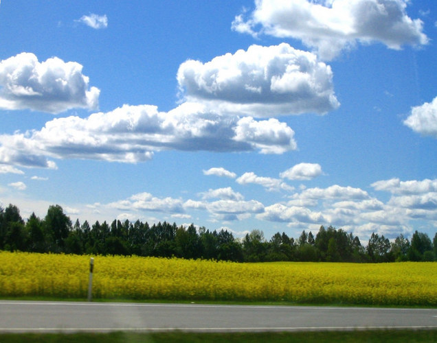 Frühling in Weissrussland!