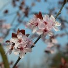 Frühling in Weißwasser