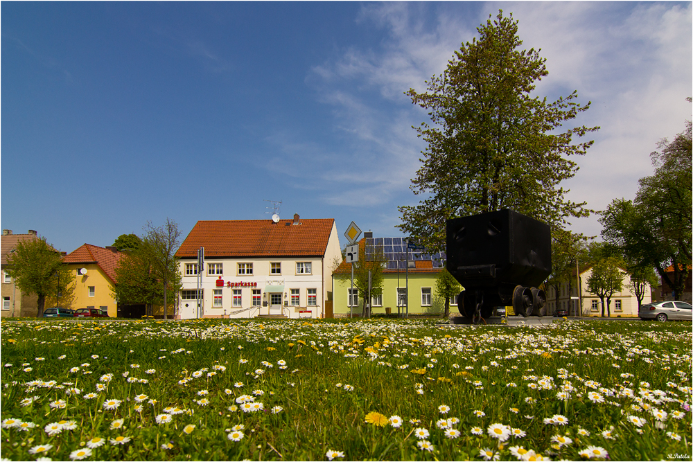 Frühling in Westeregeln Foto & Bild deutschland, europe, sachsen