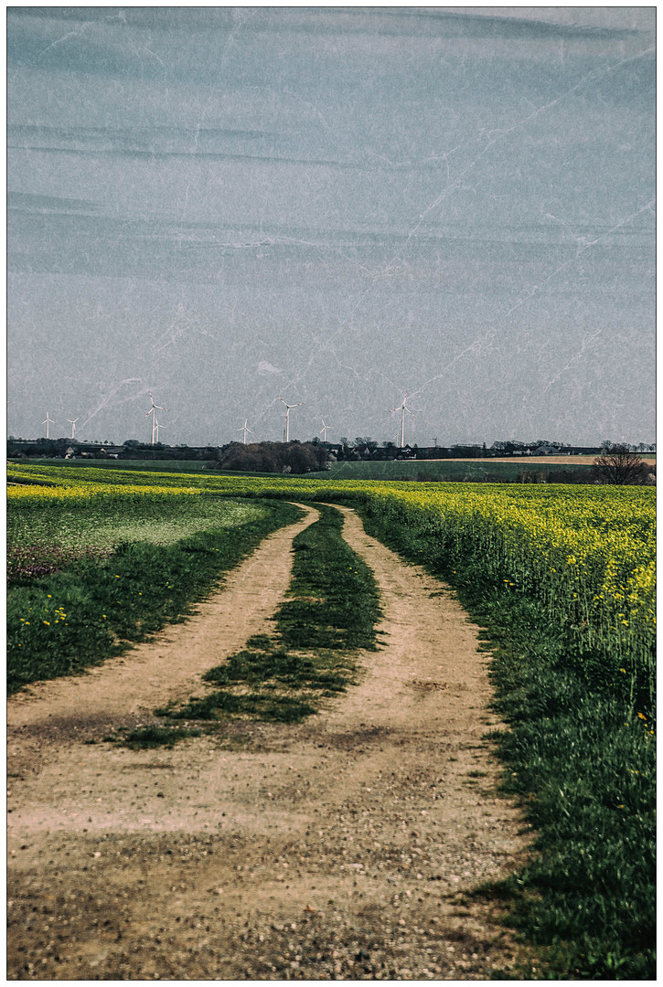 Frühling in Westsachsen