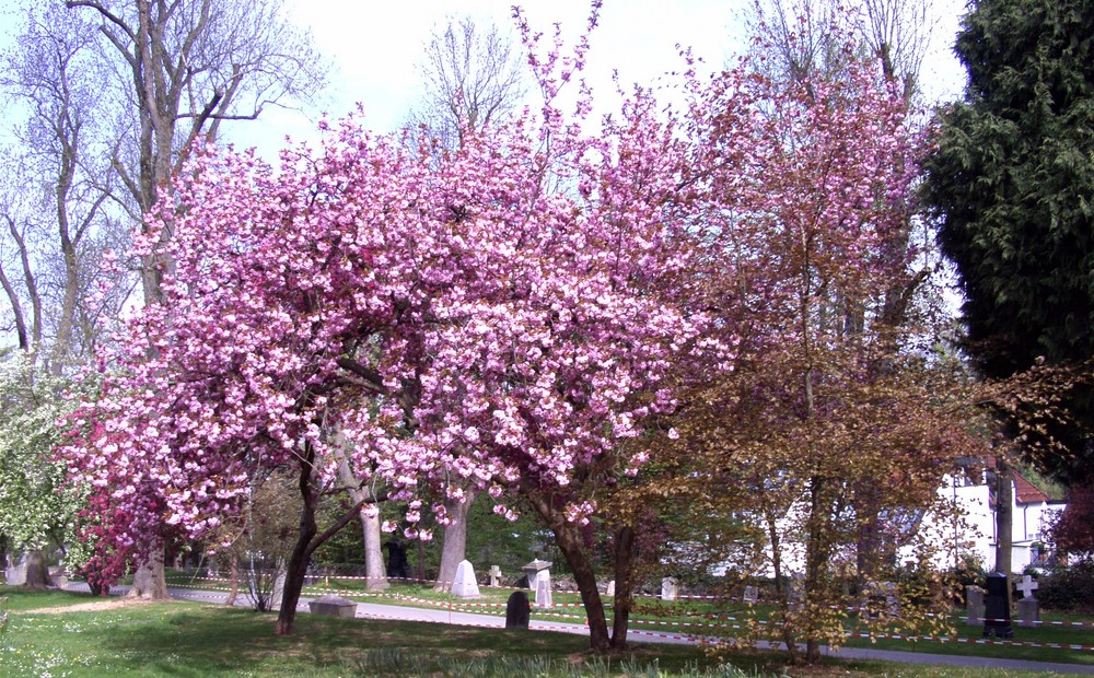 Frühling in Wetzlar