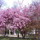 Frühling in Wetzlar