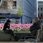 Frühling in Wien (2)