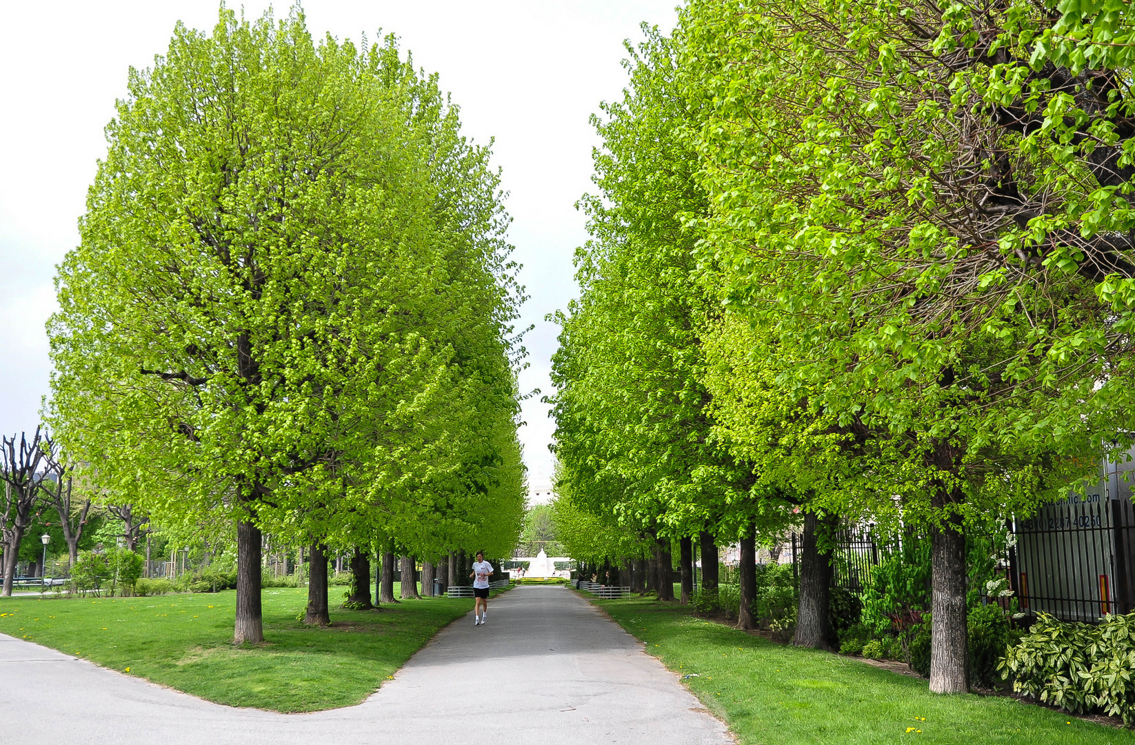 frühling in wien