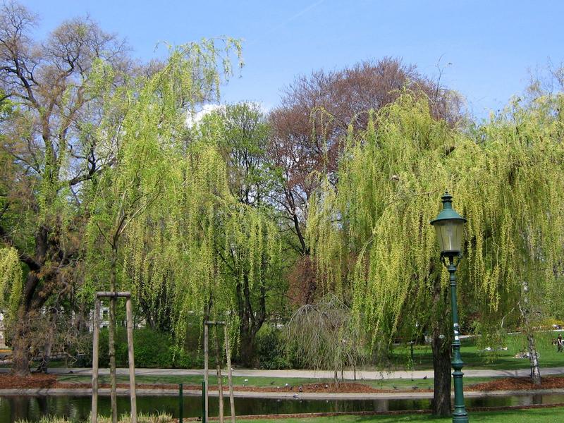 Frühling in Wien