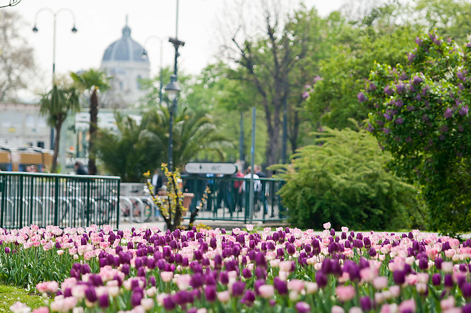 Frühling in Wien