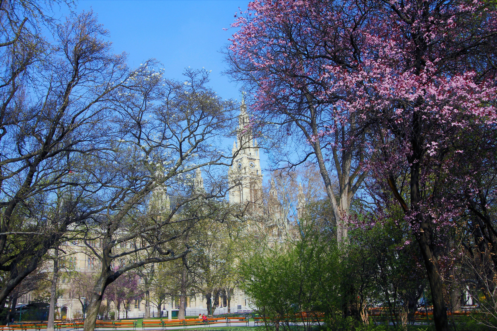 Frühling in Wien