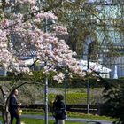 ..frühling in wien