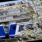 Frühling in Wien I