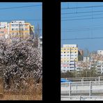 Frühling in Wien II