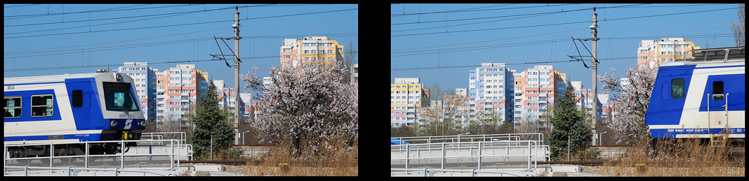 Frühling in Wien II