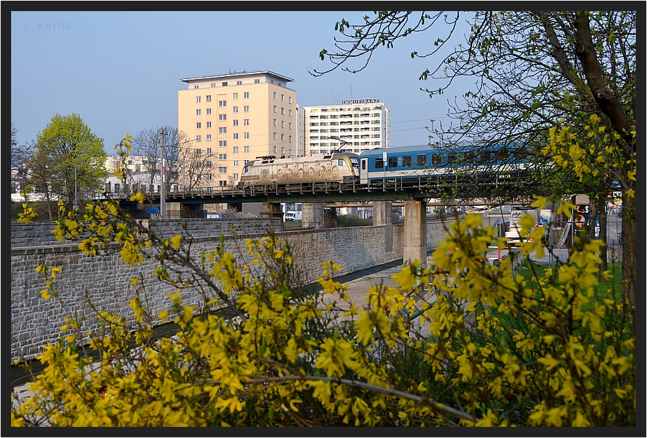 Frühling in Wien III