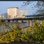 Frühling in Wien III