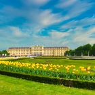 Frühling in Wien - Schloss Schönbrunn