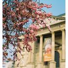 Frühling in Wiesbaden