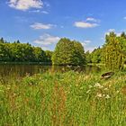 Frühling in Wildeshausen