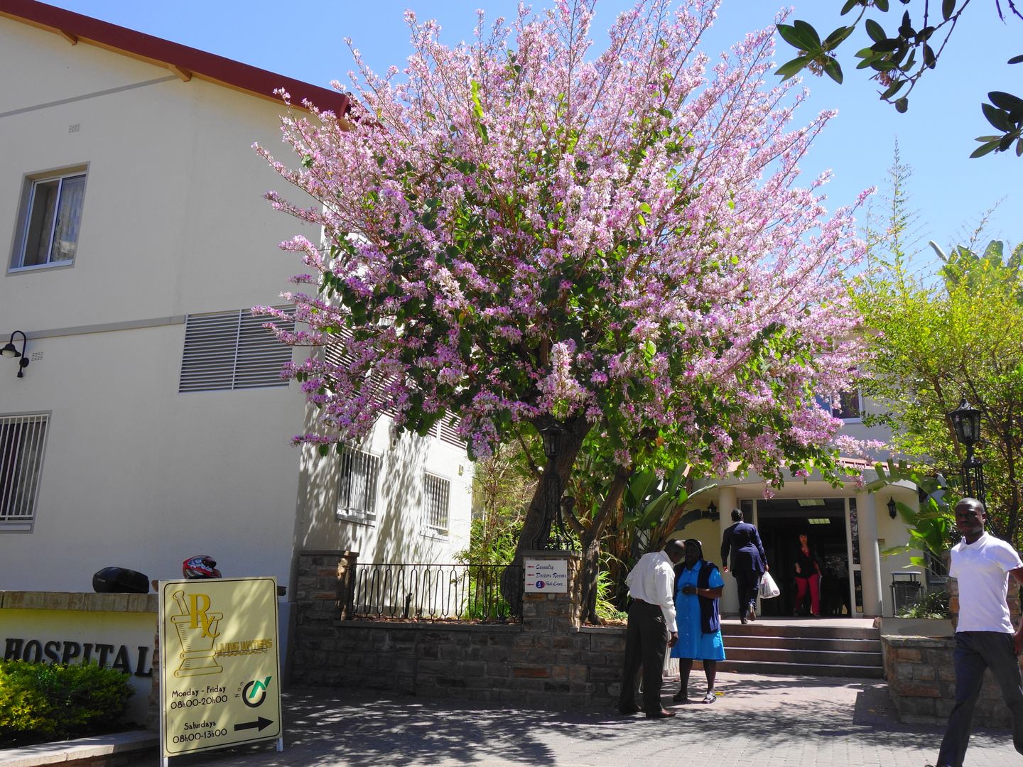 Fruehling in Windhoek