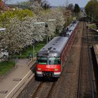 Frühling in Winterbach