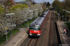 Frühling in Winterbach