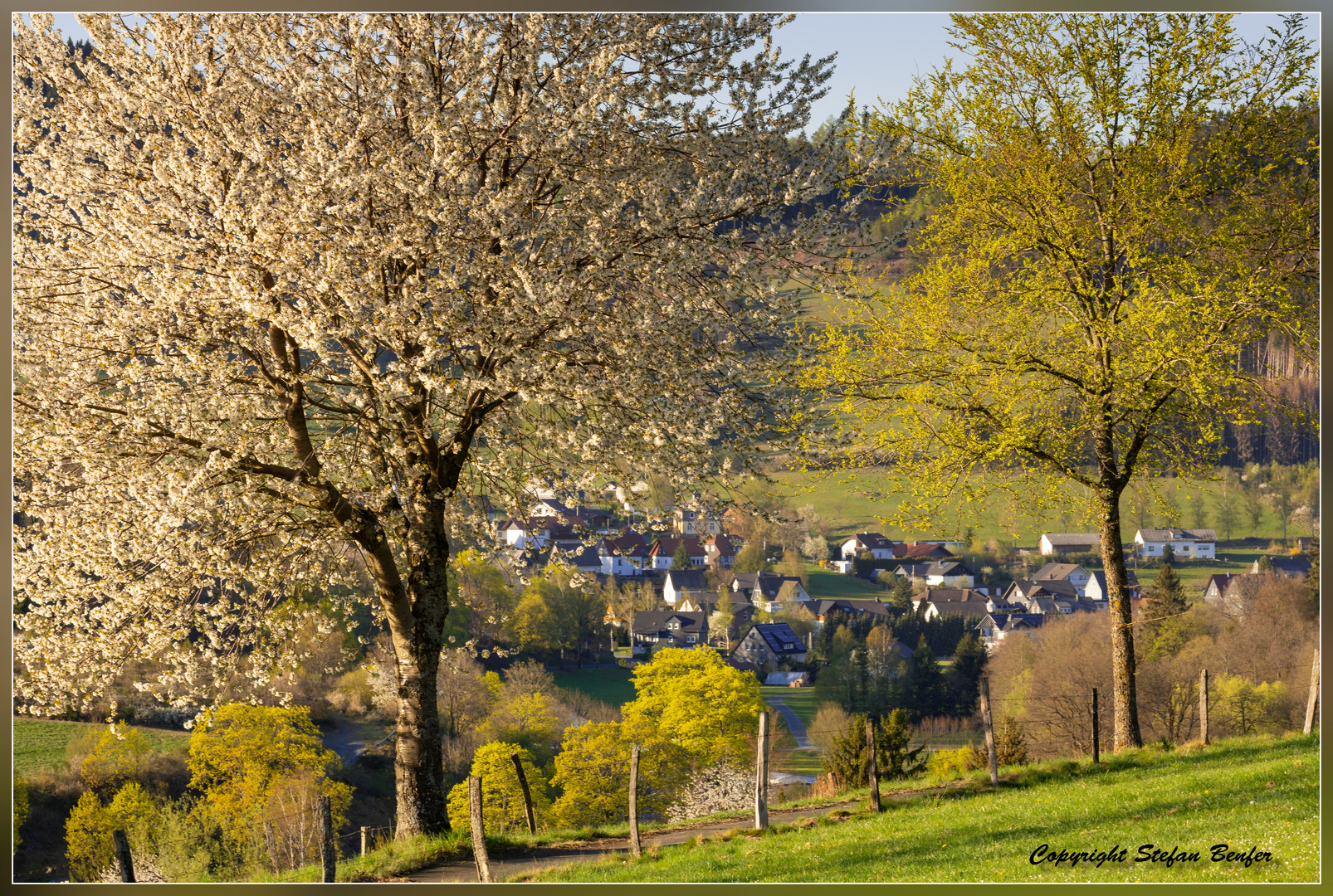 Frühling in Wittgenstein 1