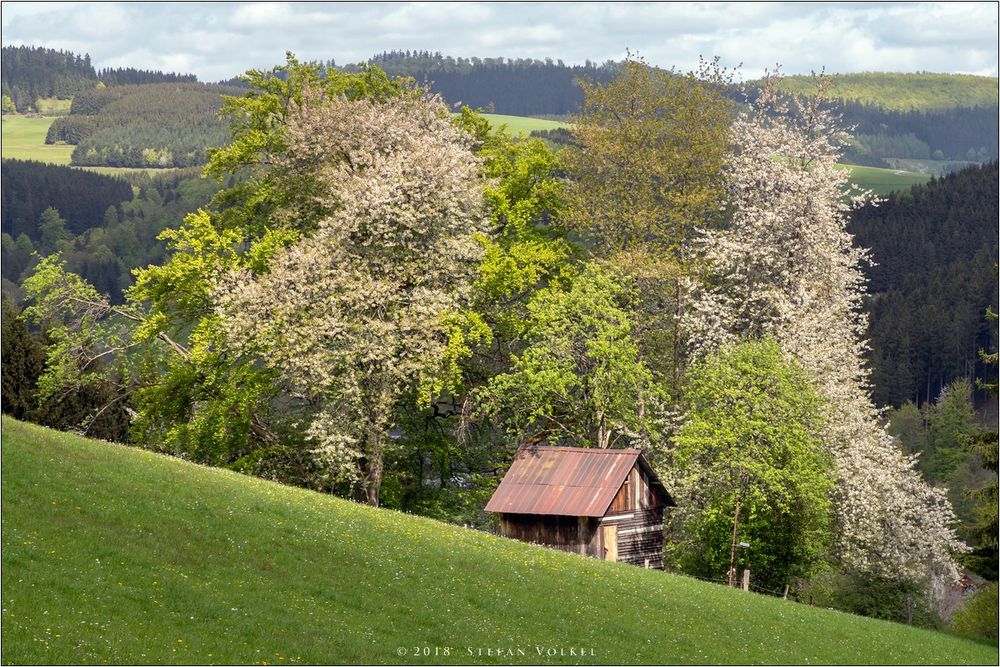 Frühling in Wittgenstein