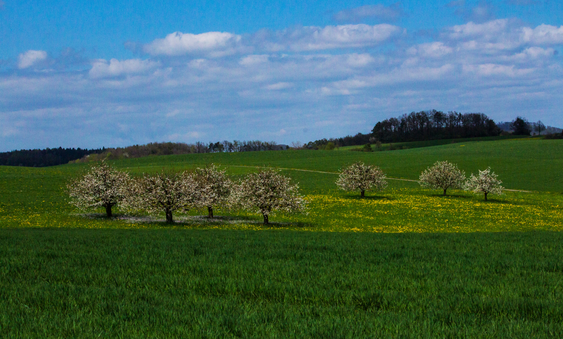 Frühling in Wittinsburg