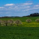 Frühling in Wittinsburg