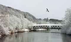 Frühling in Wolfratshausen