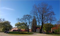 Frühling in Wroclaw