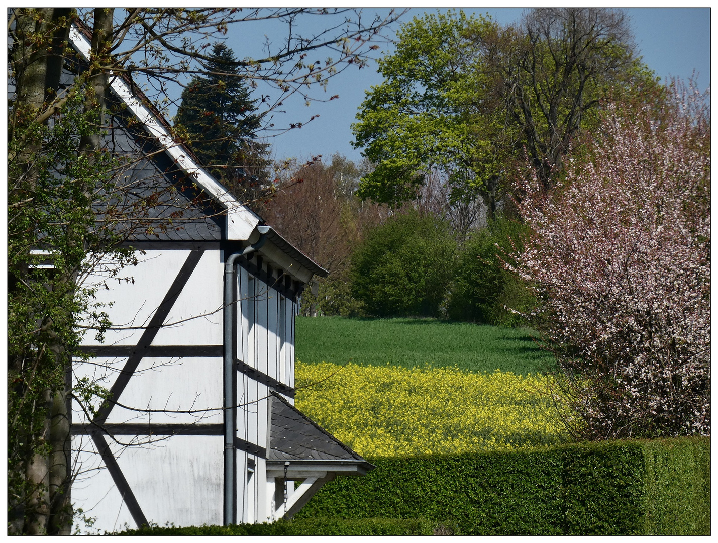 Frühling in Wülfrath-Düssel