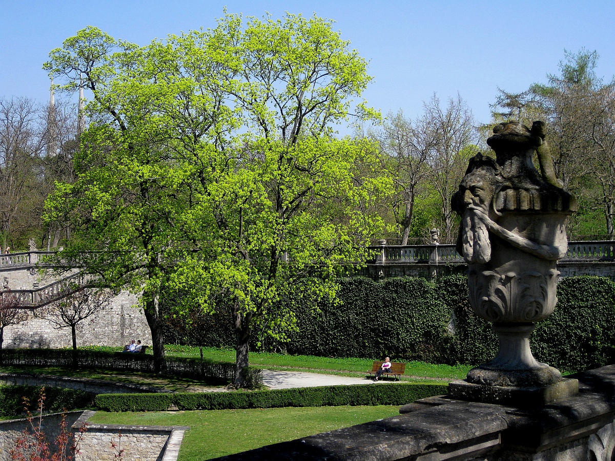 Frühling in Würzburg