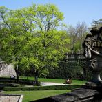 Frühling in Würzburg