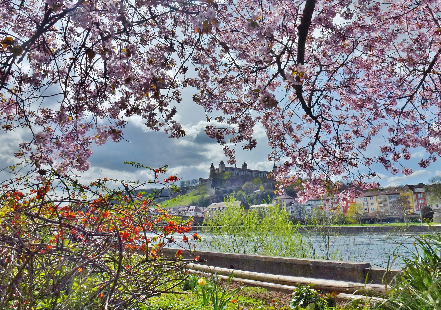 Frühling in Würzburg.