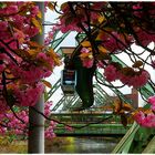 Frühling in Wuppertal