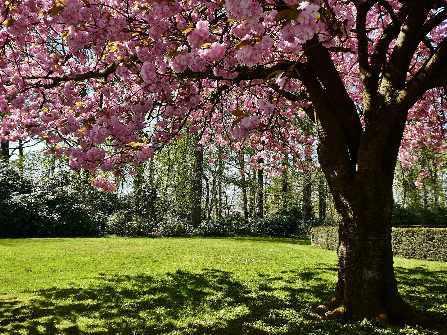 Frühling in Wuppertal