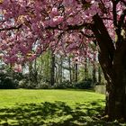 Frühling in Wuppertal