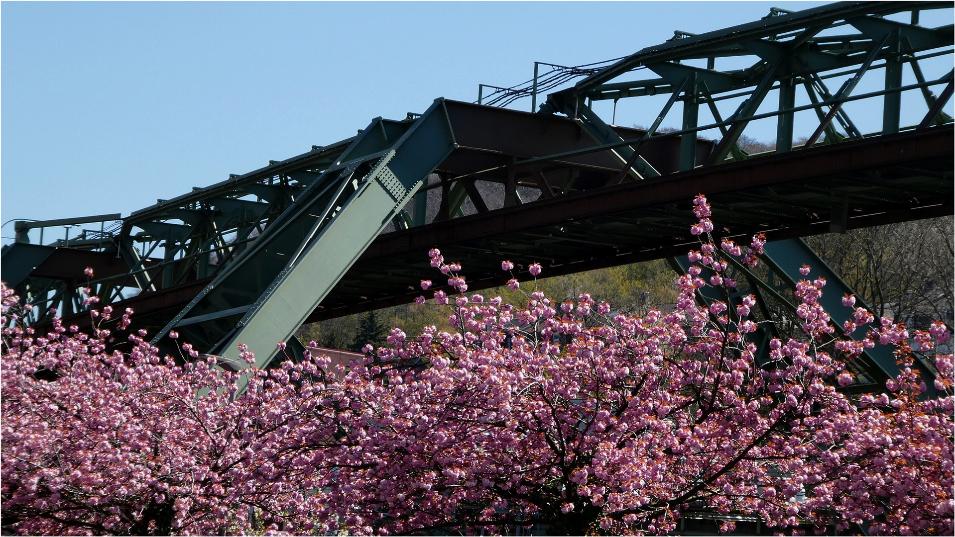 Frühling in Wuppertal