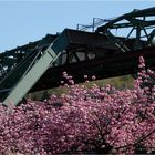 Frühling in Wuppertal