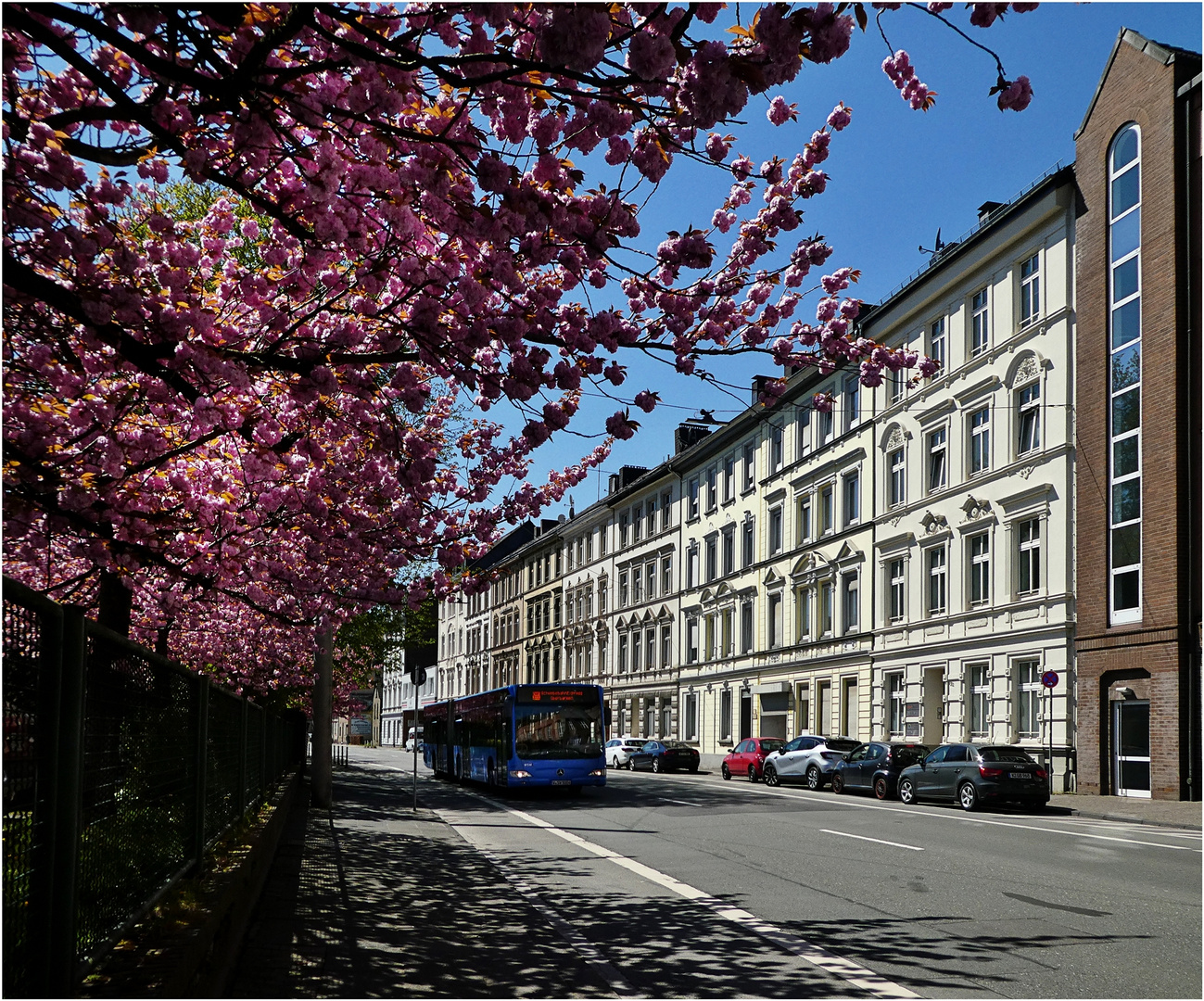 Frühling in Wuppertal