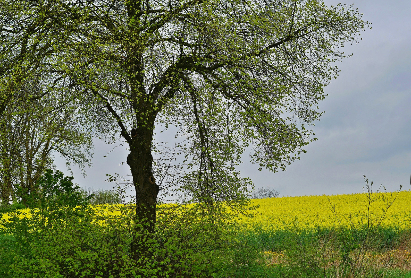 Frühling in Wuppertals Umgebung